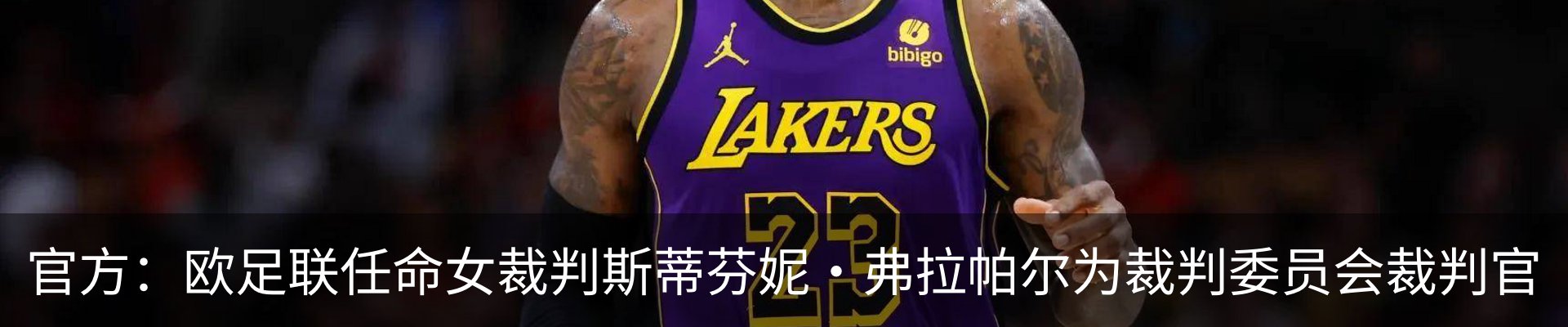最新动态