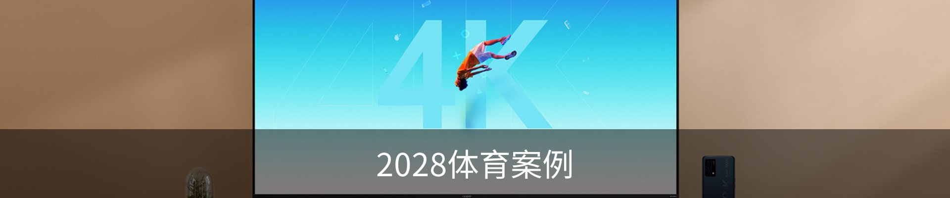 2028体育案例